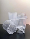 3-inch Self-Watering Pots (Set of 10)