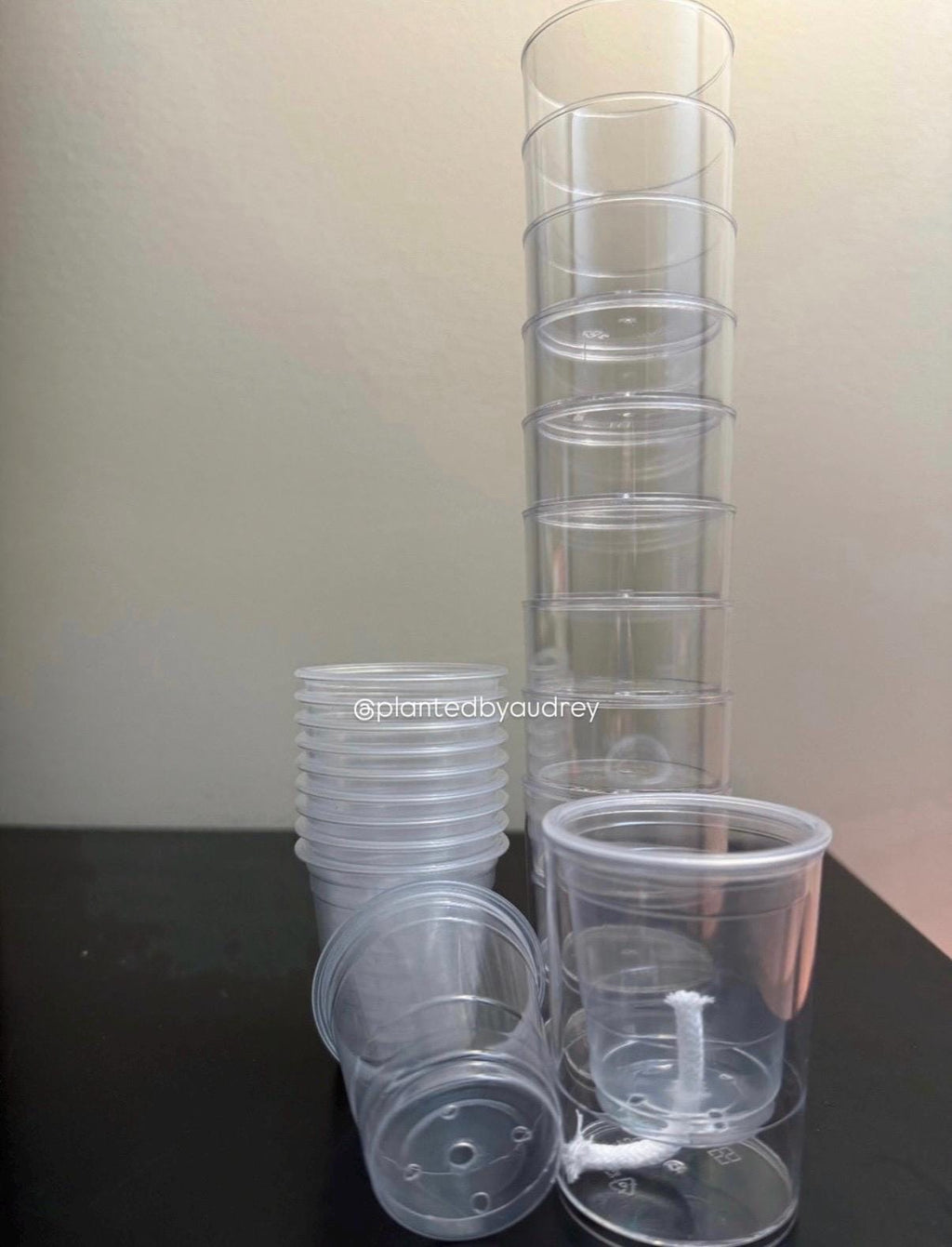 2-inch Self-Watering Pots (Set of 10)