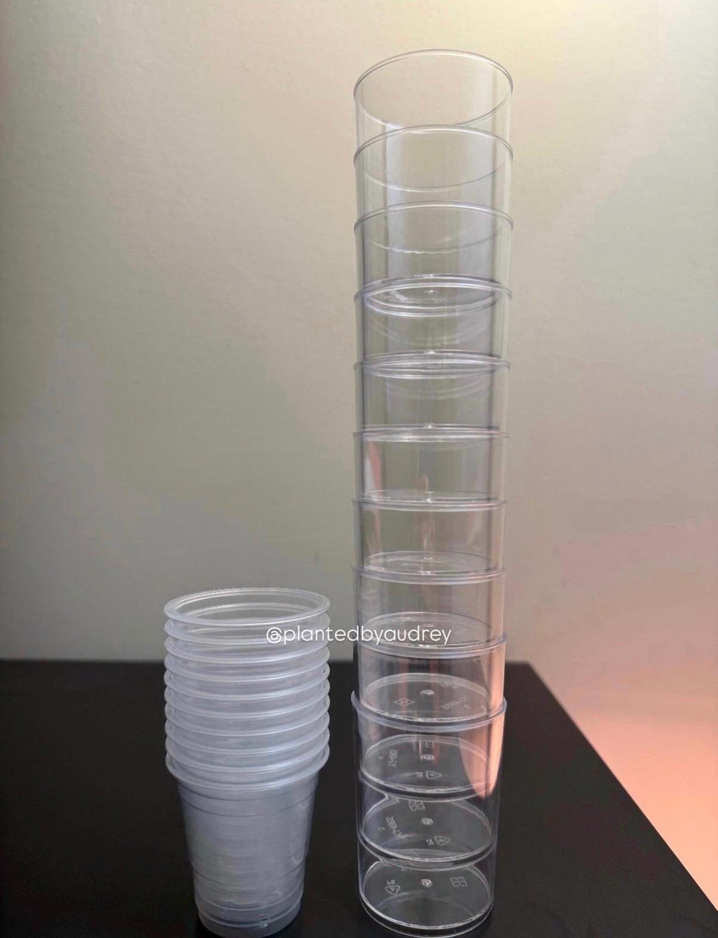 2-inch Self-Watering Pots (Set of 10)