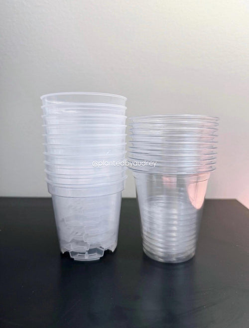 3-inch Self-Watering Pots (Set of 10)